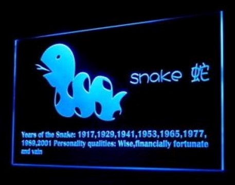 Chinese Zodiac Snake LED Neon Sign